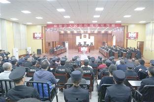 临颍新闻头条,聚焦临颍发展新动态，共绘美好未来画卷