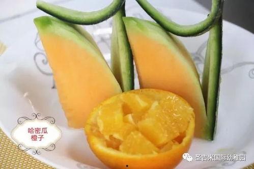金古老师的瓜,揭秘瓜农传奇人生