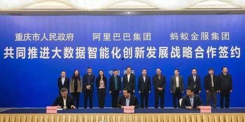 重庆网红投资方案案例,打造城市新经济引擎