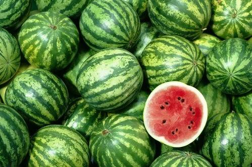 带你吃瓜飞向全球,一场跨越国界的美食盛宴