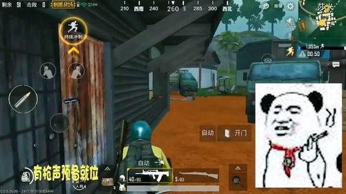 战地吃瓜王,吃瓜王视角下的军旅传奇