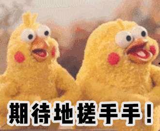 抖音网红豚鼠妹是谁,萌宠界的“网红达人”